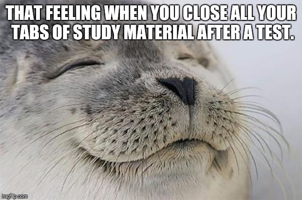 Satisfied Seal | THAT FEELING WHEN YOU CLOSE ALL YOUR TABS OF STUDY MATERIAL AFTER A TEST. | image tagged in memes,satisfied seal | made w/ Imgflip meme maker