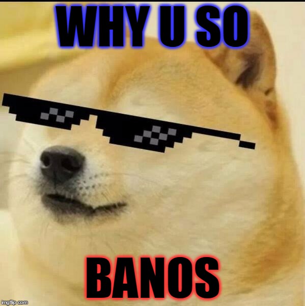Sunglass Doge | WHY U SO BANOS | image tagged in sunglass doge,fnaf,bruh,funny,memes | made w/ Imgflip meme maker