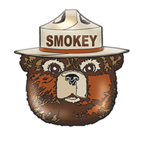 High Quality Smokey the Bear Blank Meme Template
