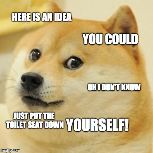 Doge Meme | HERE IS AN IDEA YOU COULD OH I DON'T KNOW JUST PUT THE TOILET SEAT DOWN YOURSELF! | image tagged in memes,doge | made w/ Imgflip meme maker