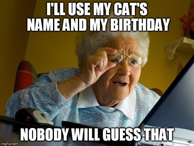 Grandma Finds The Internet Meme | I'LL USE MY CAT'S NAME AND MY BIRTHDAY NOBODY WILL GUESS THAT | image tagged in memes,grandma finds the internet | made w/ Imgflip meme maker