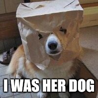 I'm not your dog | I WAS HER DOG | image tagged in i'm not your dog | made w/ Imgflip meme maker