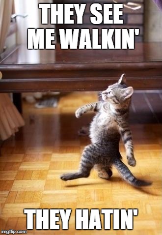 Cool Cat Stroll Meme | THEY SEE ME WALKIN' THEY HATIN' | image tagged in memes,cool cat stroll | made w/ Imgflip meme maker