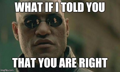 Matrix Morpheus Meme | WHAT IF I TOLD YOU THAT YOU ARE RIGHT | image tagged in memes,matrix morpheus | made w/ Imgflip meme maker