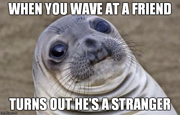 Awkward Moment Sealion Meme | WHEN YOU WAVE AT A FRIEND TURNS OUT HE'S A STRANGER | image tagged in memes,awkward moment sealion | made w/ Imgflip meme maker