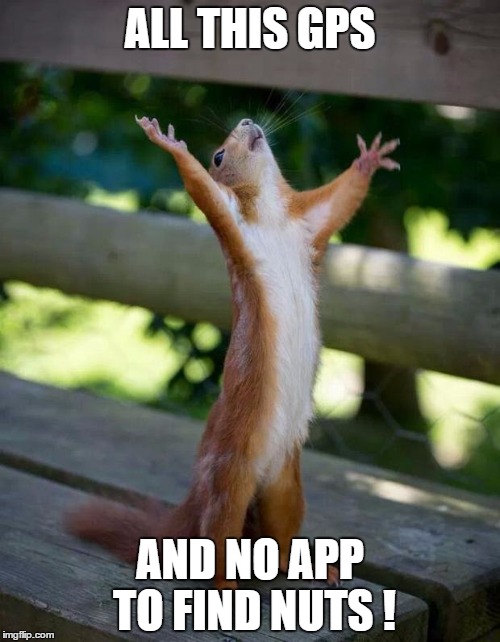 Happy Squirrel | ALL THIS GPS AND NO APP TO FIND NUTS ! | image tagged in happy squirrel | made w/ Imgflip meme maker