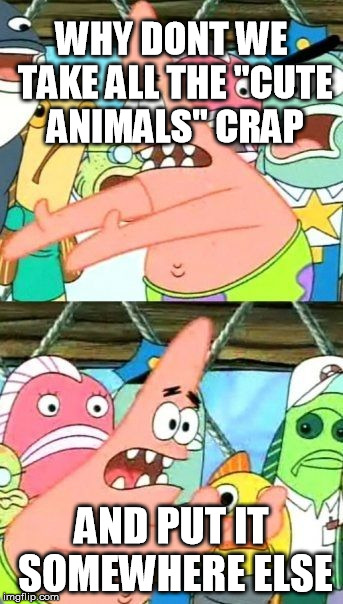 Put It Somewhere Else Patrick | WHY DONT WE TAKE ALL THE "CUTE ANIMALS" CRAP AND PUT IT SOMEWHERE ELSE | image tagged in memes,put it somewhere else patrick | made w/ Imgflip meme maker