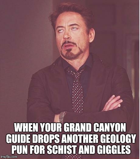 Face You Make Robert Downey Jr Meme | WHEN YOUR GRAND CANYON GUIDE DROPS ANOTHER GEOLOGY PUN FOR SCHIST AND GIGGLES | image tagged in memes,face you make robert downey jr | made w/ Imgflip meme maker