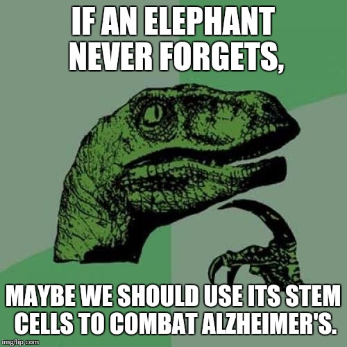 Philosoraptor Meme | IF AN ELEPHANT NEVER FORGETS, MAYBE WE SHOULD USE ITS STEM CELLS TO COMBAT ALZHEIMER'S. | image tagged in memes,philosoraptor | made w/ Imgflip meme maker