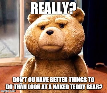 TED | REALLY? DON'T OU HAVE BETTER THINGS TO DO THAN LOOK AT A NAKED TEDDY BEAR? | image tagged in memes,ted | made w/ Imgflip meme maker