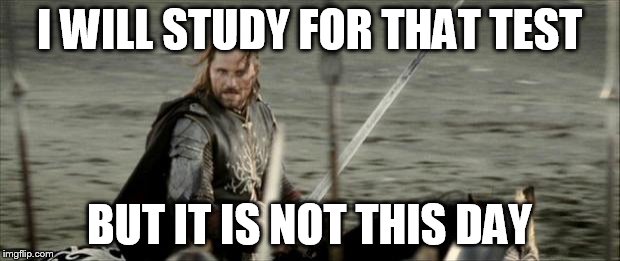Aragon  | I WILL STUDY FOR THAT TEST BUT IT IS NOT THIS DAY | image tagged in aragon | made w/ Imgflip meme maker