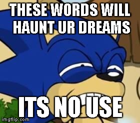Scared sonic | THESE WORDS WILL HAUNT UR DREAMS ITS NO USE | image tagged in scared sonic | made w/ Imgflip meme maker