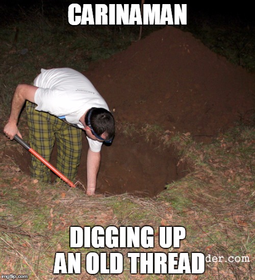 CARINAMAN DIGGING UP AN OLD THREAD | image tagged in digging | made w/ Imgflip meme maker