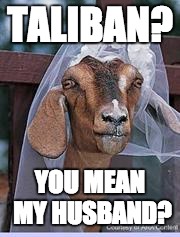 Muslim Goat Bride | TALIBAN? YOU MEAN MY HUSBAND? | image tagged in muslim goat bride | made w/ Imgflip meme maker