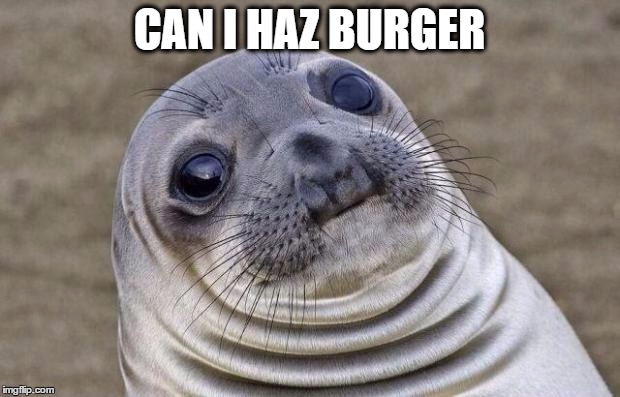 Awkward Moment Sealion | CAN I HAZ BURGER | image tagged in memes,awkward moment sealion | made w/ Imgflip meme maker