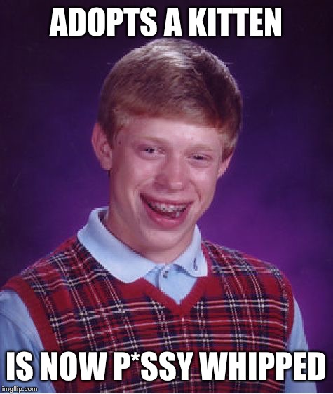 Bad Luck Brian Meme | ADOPTS A KITTEN IS NOW P*SSY WHIPPED | image tagged in memes,bad luck brian,pussy,whipped | made w/ Imgflip meme maker