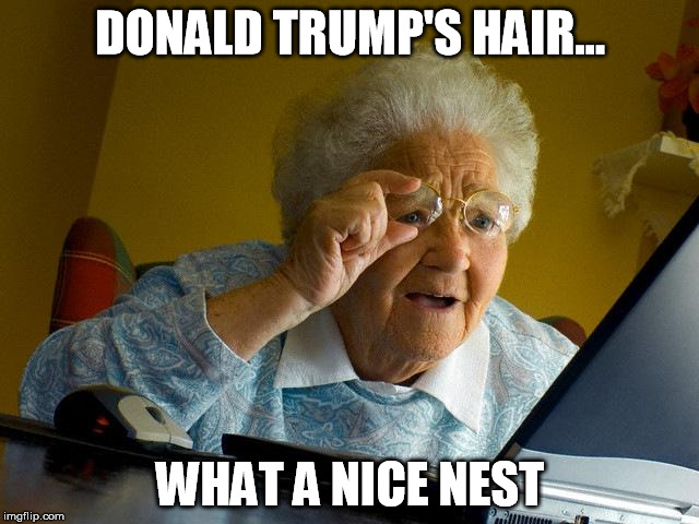 Grandma Finds The Internet | DONALD TRUMP'S HAIR... WHAT A NICE NEST | image tagged in memes,grandma finds the internet | made w/ Imgflip meme maker