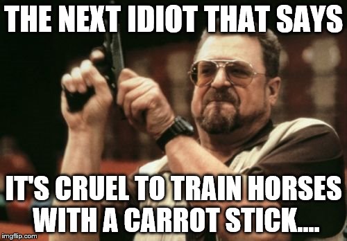 Horse Training | THE NEXT IDIOT THAT SAYS IT'S CRUEL TO TRAIN HORSES WITH A CARROT STICK.... | image tagged in memes,am i the only one around here,horses,horse training,pony,people | made w/ Imgflip meme maker