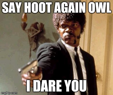 Say That Again I Dare You | SAY HOOT AGAIN OWL I DARE YOU | image tagged in memes,say that again i dare you | made w/ Imgflip meme maker