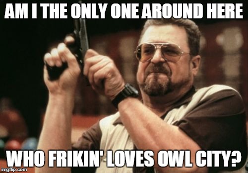 Am I The Only One Around Here | AM I THE ONLY ONE AROUND HERE WHO FRIKIN' LOVES OWL CITY? | image tagged in memes,am i the only one around here | made w/ Imgflip meme maker