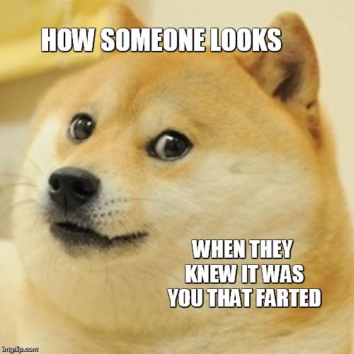 Doge | HOW SOMEONE LOOKS WHEN THEY KNEW IT WAS YOU THAT FARTED | image tagged in memes,doge | made w/ Imgflip meme maker