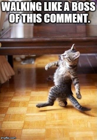 Cool Cat Stroll Meme | WALKING LIKE A BOSS OF THIS COMMENT. | image tagged in memes,cool cat stroll | made w/ Imgflip meme maker