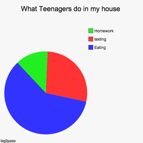 image tagged in funny,pie charts | made w/ Imgflip chart maker