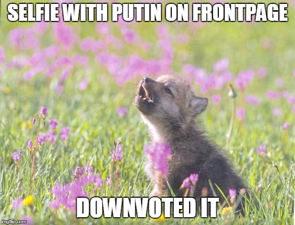 Baby Insanity Wolf Meme | SELFIE WITH PUTIN ON FRONTPAGE DOWNVOTED IT | image tagged in memes,baby insanity wolf,AdviceAnimals | made w/ Imgflip meme maker