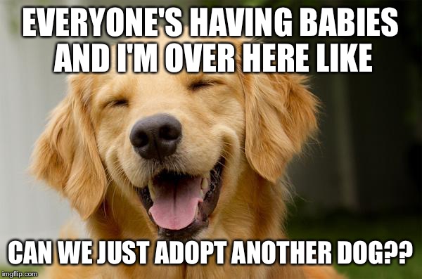 Happy Dog | EVERYONE'S HAVING BABIES AND I'M OVER HERE LIKE CAN WE JUST ADOPT ANOTHER DOG?? | image tagged in happy dog | made w/ Imgflip meme maker
