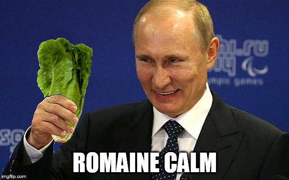 Lettuce be friends | ROMAINE CALM | image tagged in memes,vladimir putin | made w/ Imgflip meme maker