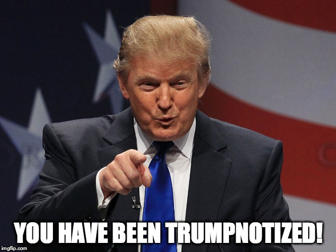 Donald Trump | YOU HAVE BEEN TRUMPNOTIZED! | image tagged in donald trump | made w/ Imgflip meme maker