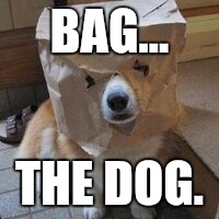 I'm not your dog | BAG... THE DOG. | image tagged in i'm not your dog | made w/ Imgflip meme maker