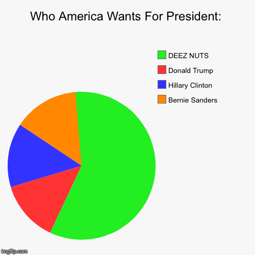 Who America's Choice REALLY Is: | image tagged in pie charts,election 2016,hillary clinton,deez nutz,bernie sanders,donald trump | made w/ Imgflip chart maker