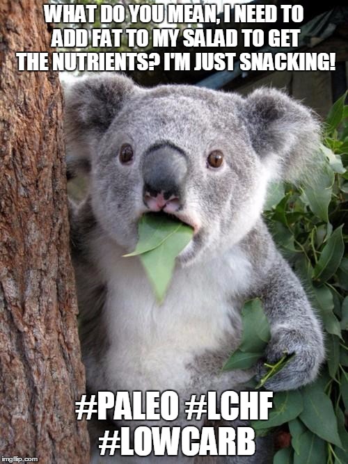 Surprised Koala | WHAT DO YOU MEAN, I NEED TO ADD FAT TO MY SALAD TO GET THE NUTRIENTS? I'M JUST SNACKING! #PALEO #LCHF #LOWCARB | image tagged in memes,surprised koala | made w/ Imgflip meme maker