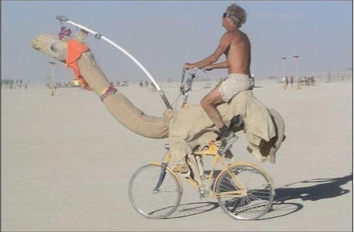 Camel bike Blank Meme Template