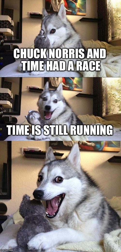 Bad Pun Dog | CHUCK NORRIS AND TIME HAD A RACE TIME IS STILL RUNNING | image tagged in memes,bad pun dog | made w/ Imgflip meme maker