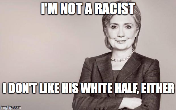 Hillary | I'M NOT A RACIST I DON'T LIKE HIS WHITE HALF, EITHER | image tagged in hillary | made w/ Imgflip meme maker