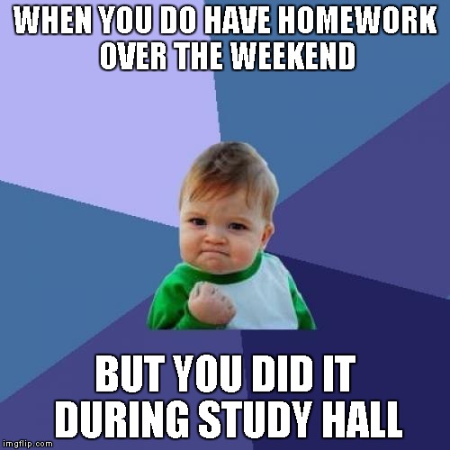Success Kid Meme | WHEN YOU DO HAVE HOMEWORK OVER THE WEEKEND BUT YOU DID IT DURING STUDY HALL | image tagged in memes,success kid | made w/ Imgflip meme maker
