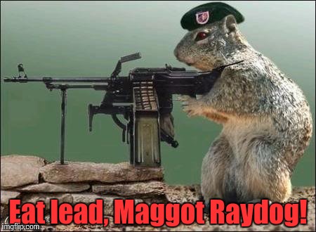 Squirrel machine gun | Eat lead, Maggot Raydog! | image tagged in squirrel machine gun | made w/ Imgflip meme maker