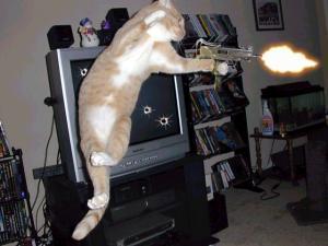 High Quality Machine Gun Cat Blank Meme Template