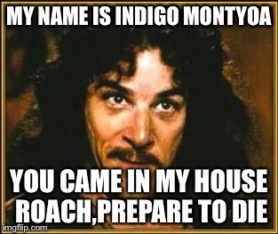 princess bride | MY NAME IS INDIGO MONTYOA YOU CAME IN MY HOUSE ROACH,PREPARE TO DIE | image tagged in princess bride | made w/ Imgflip meme maker
