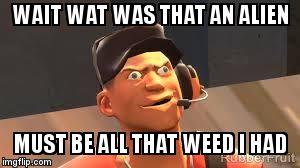 Team fortress 2 | WAIT WAT WAS THAT AN ALIEN MUST BE ALL THAT WEED I HAD | image tagged in team fortress 2 | made w/ Imgflip meme maker