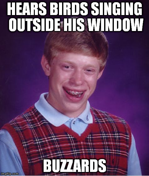 Bad Luck Brian | HEARS BIRDS SINGING OUTSIDE HIS WINDOW BUZZARDS | image tagged in memes,bad luck brian | made w/ Imgflip meme maker
