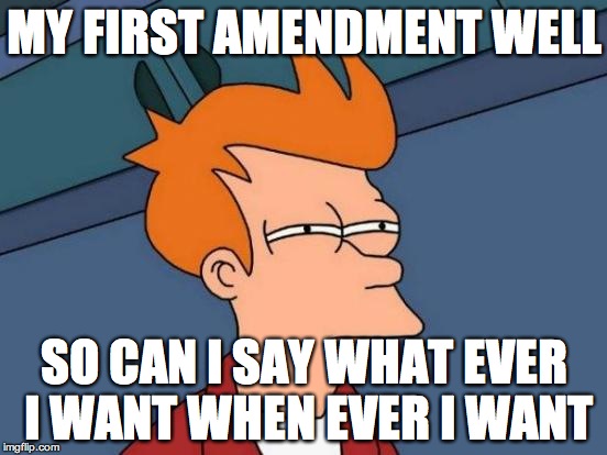 Futurama Fry | MY FIRST AMENDMENT WELL SO CAN I SAY WHAT EVER I WANT WHEN EVER I WANT | image tagged in memes,futurama fry | made w/ Imgflip meme maker