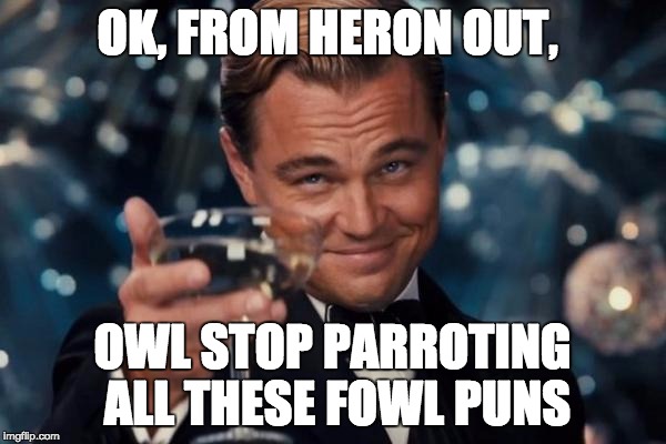 Leonardo Dicaprio Cheers Meme | OK, FROM HERON OUT, OWL STOP PARROTING ALL THESE FOWL PUNS | image tagged in memes,leonardo dicaprio cheers | made w/ Imgflip meme maker