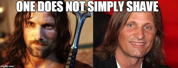 Simply | ONE DOES NOT SIMPLY SHAVE | image tagged in lord of the rings,one does not simply,funny memes,no shave november | made w/ Imgflip meme maker