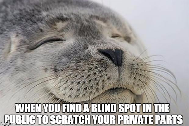 Satisfied Seal Meme | WHEN YOU FIND A BLIND SPOT IN THE PUBLIC TO SCRATCH YOUR PRIVATE PARTS | image tagged in memes,satisfied seal | made w/ Imgflip meme maker
