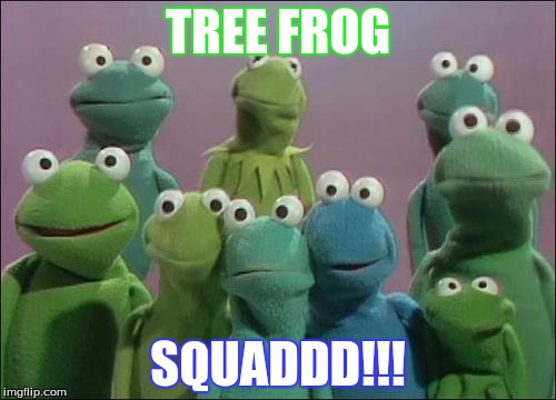 tree frogg squad | TREE FROG SQUADDD!!! | image tagged in muppet frogs | made w/ Imgflip meme maker
