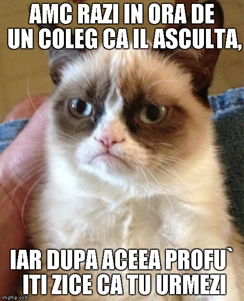 Grumpy Cat Meme | AMC RAZI IN ORA DE UN COLEG CA IL ASCULTA, IAR DUPA ACEEA PROFU` ITI ZICE CA TU URMEZI | image tagged in memes,grumpy cat | made w/ Imgflip meme maker