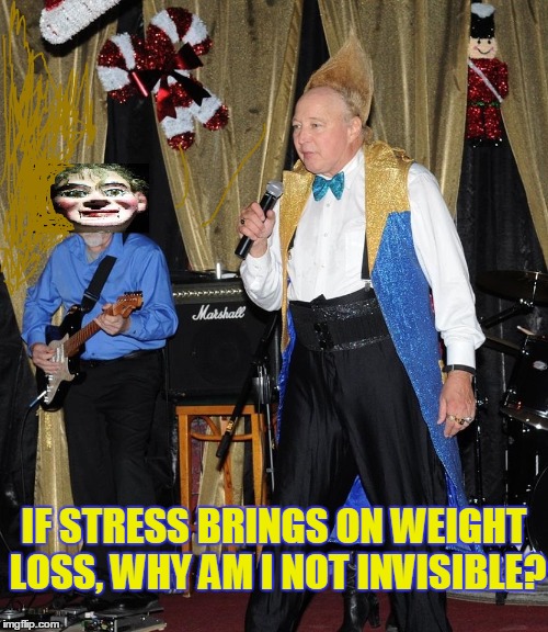 Why Am I Not Invisible? | IF STRESS BRINGS ON WEIGHT LOSS, WHY AM I NOT INVISIBLE? | image tagged in stress,stress causes weight loss,vince vance,man with funny hair,tall hair,guitar player is a dummy | made w/ Imgflip meme maker